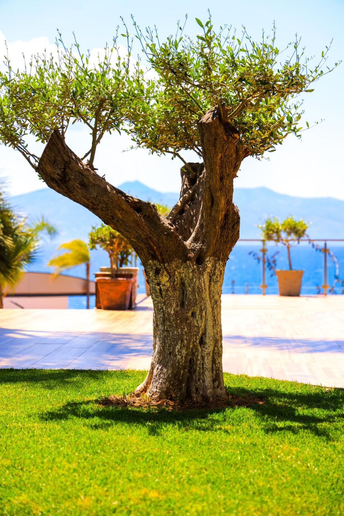 Hotel Apollon Sarande (Adults Only) Buitenkant foto